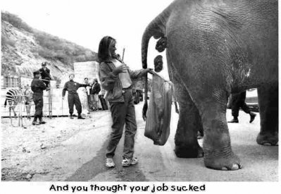 JobSucks.jpg