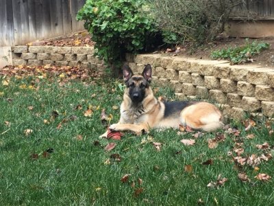 IMG_2979.JPG IMG_2979.JPG