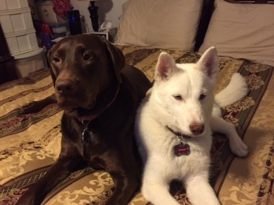 IMG_0781.JPG IMG_0781.JPG