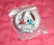 1971 DODGE CHARGER SE DECK LID ORNAMENT.jpg