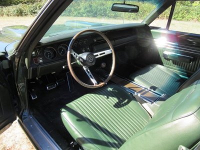 IMG_0096 (Large).JPG