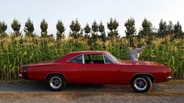 Bee & Scarecrow Resize 3.jpg Bee & Scarecrow Resize 3.jpg