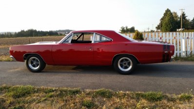 Bee 10.jpg Bee 10.jpg