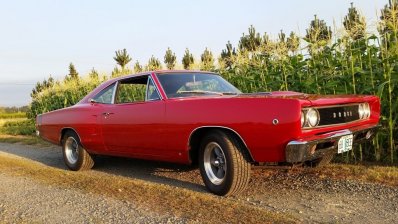 Bee 11.jpg Bee 11.jpg