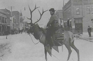 elk+cowboy1298988925.jpg