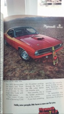 Cuda Ad.jpg
