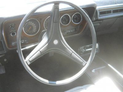 Steve 114.JPG Steve 114.JPG