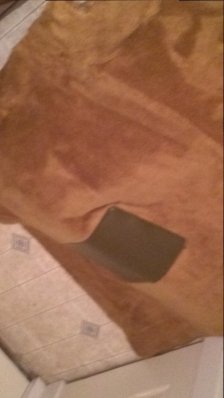 WP_20170130_16_01_55_Pro.jpg WP_20170130_16_01_55_Pro.jpg