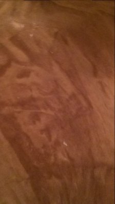 WP_20170130_16_01_59_Pro.jpg WP_20170130_16_01_59_Pro.jpg