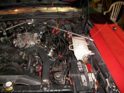 vroom 006 (600 x 450)(2).jpg