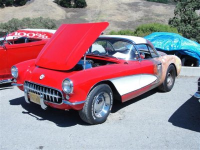 DSC01731 (Small).JPG