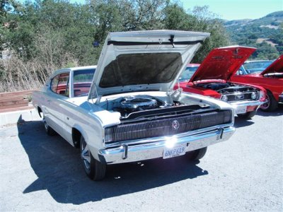 DSC01733 (Small).JPG