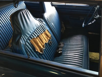 IMG_7195.JPG IMG_7195.JPG