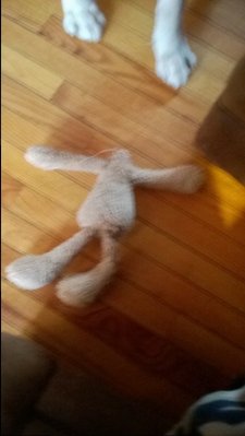 WP_20170201_09_35_39_Pro.jpg