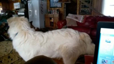 WP_20170201_09_37_22_Pro.jpg
