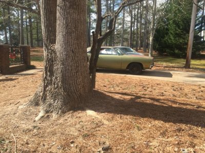 IMG_3709.JPG IMG_3709.JPG