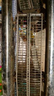 IMG_20170201_171724935.jpg IMG_20170201_171724935.jpg