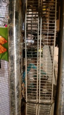 IMG_20170201_171729250.jpg IMG_20170201_171729250.jpg