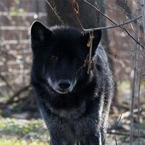 safe_image (4).jpg