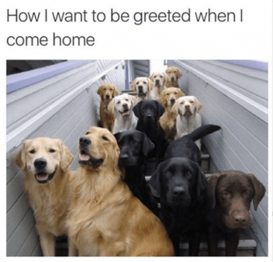 13335805_1037028299718617_8697238534116968581_n.png