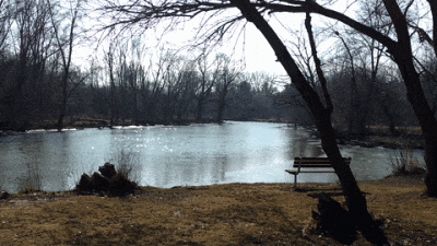 tmp_10222-giphy(5)-5320262.gif