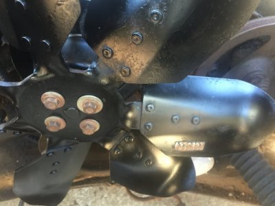 IMG_3767.JPG IMG_3767.JPG