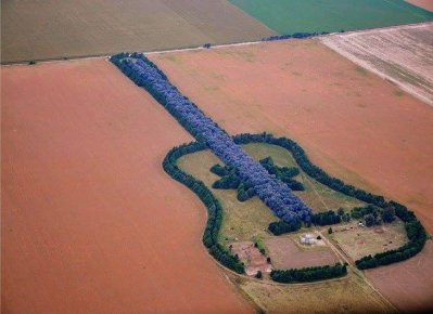 Guitar Shaped Forest.jpg