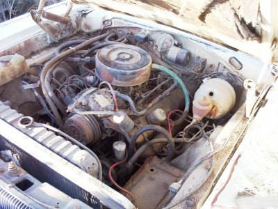 Dodge67charger1motor.jpg