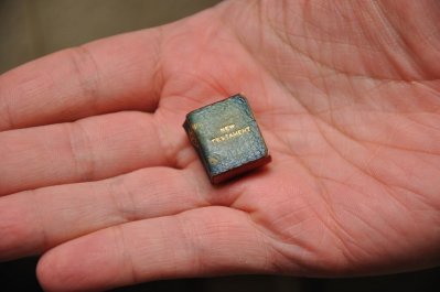 16487409_1768948776749227_2157150950000957795_o.jpg