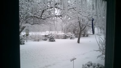 WP_20170216_07_22_33_Pro.jpg