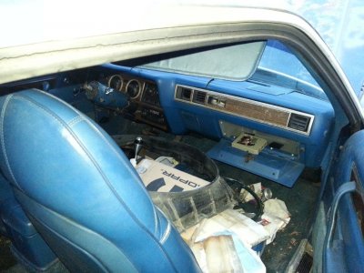 20170215_073354.jpg 20170215_073354.jpg