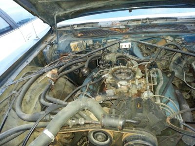 20170215_073216.jpg 20170215_073216.jpg