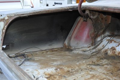 Trunk2.JPG Trunk2.JPG