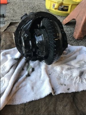 IMG_0860.JPG IMG_0860.JPG