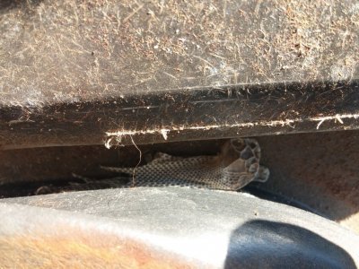 20150125_145716.jpg 20150125_145716.jpg