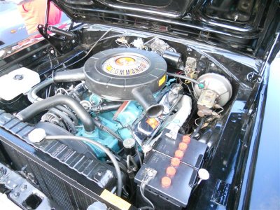 DSCN3048 (Medium).JPG