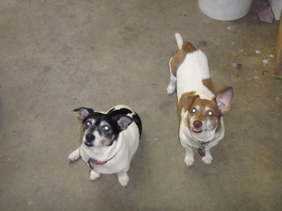 DSC00107.jpg DSC00107.jpg