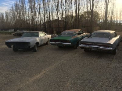 IMG_4218.JPG IMG_4218.JPG