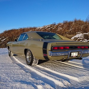 DSC_1284.JPG
