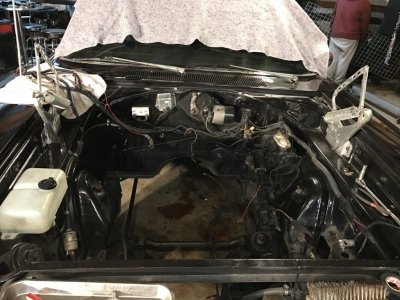 IMG_0768.JPG IMG_0768.JPG