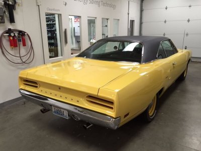 road runner 11.jpg
