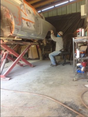 IMG_3442.JPG IMG_3442.JPG