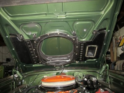 IMG_0299 (Large).JPG