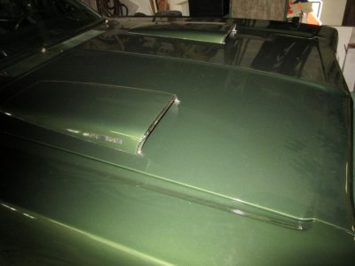 IMG_0300 (Large).JPG