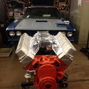 440-6 roadrunner.jpg