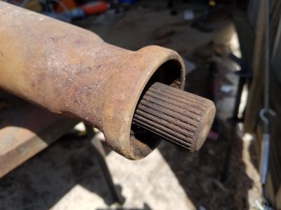 20170324_113628.jpg