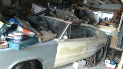 2017-03-25 09.25.13.jpg