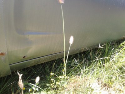 20170331_135154.jpg