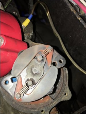 image.jpeg image.jpeg