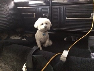 IMG_5241 (1).JPG IMG_5241 (1).JPG